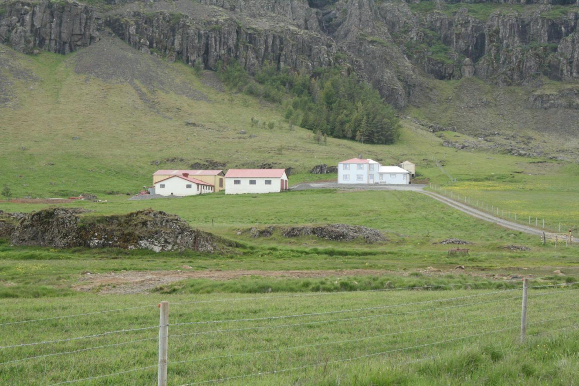 Guesthouse Stekkatun Skálafell Kültér fotó