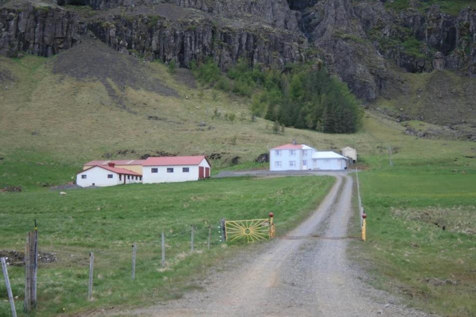 Guesthouse Stekkatun Skálafell Kültér fotó